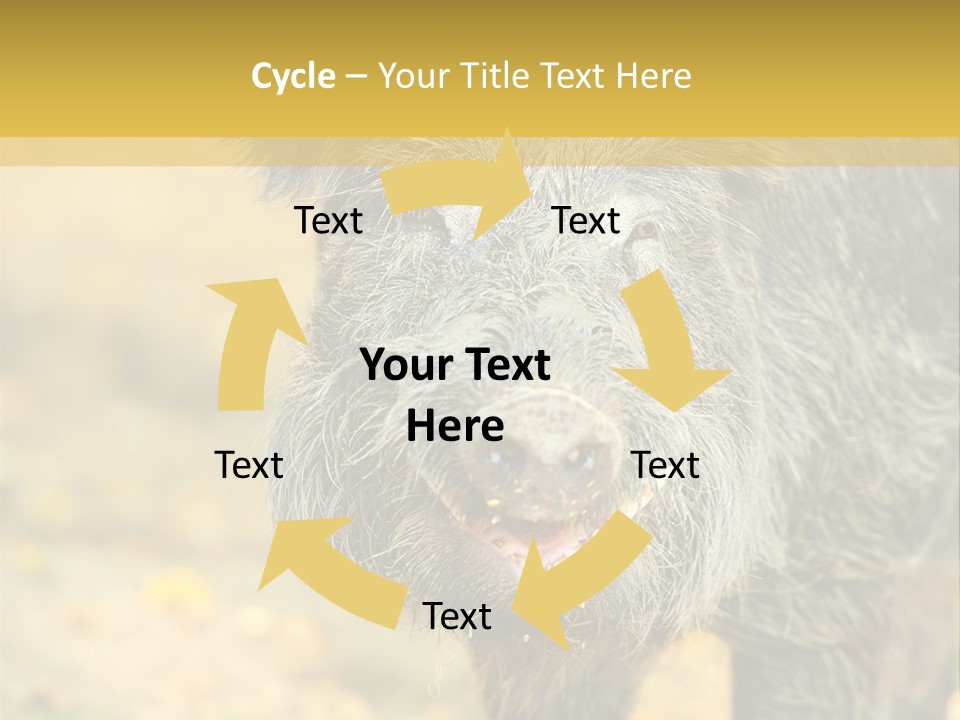 Airplane Air Snow PowerPoint Template