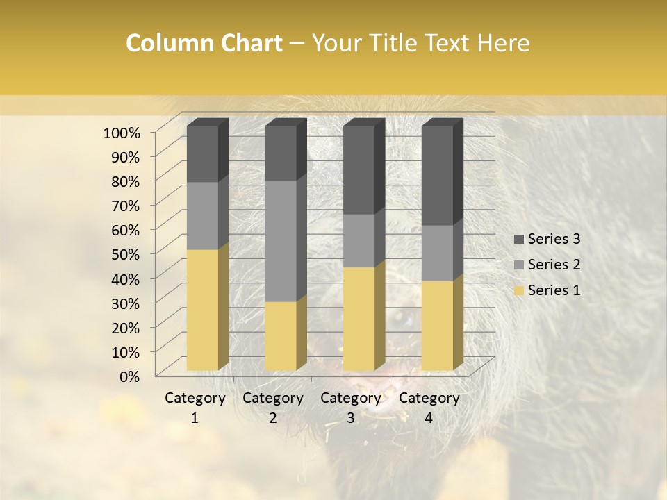 Airplane Air Snow PowerPoint Template