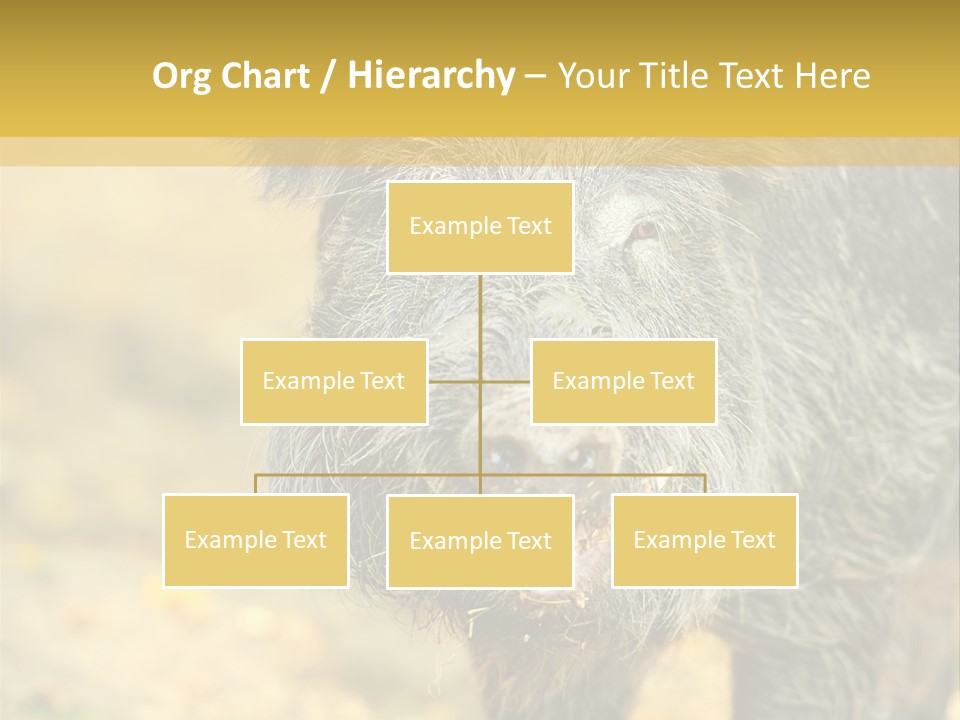 Airplane Air Snow PowerPoint Template