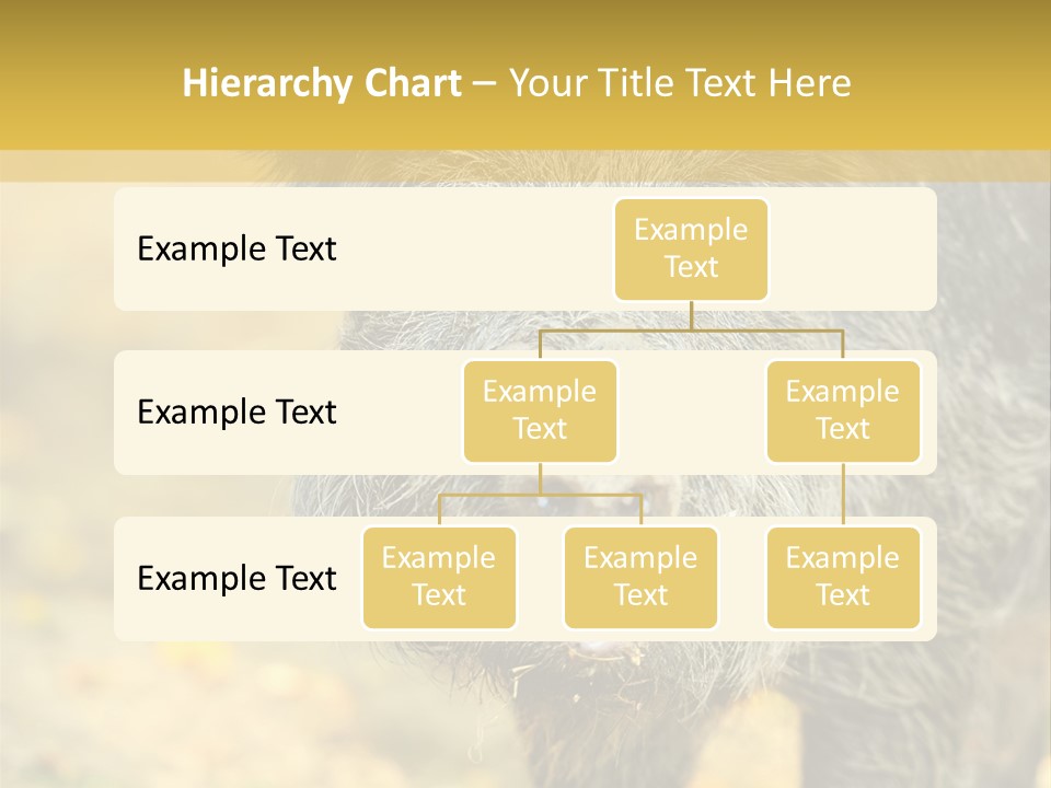 Airplane Air Snow PowerPoint Template