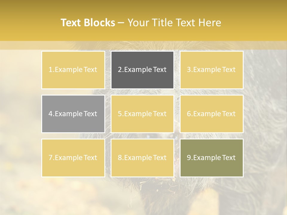 Airplane Air Snow PowerPoint Template