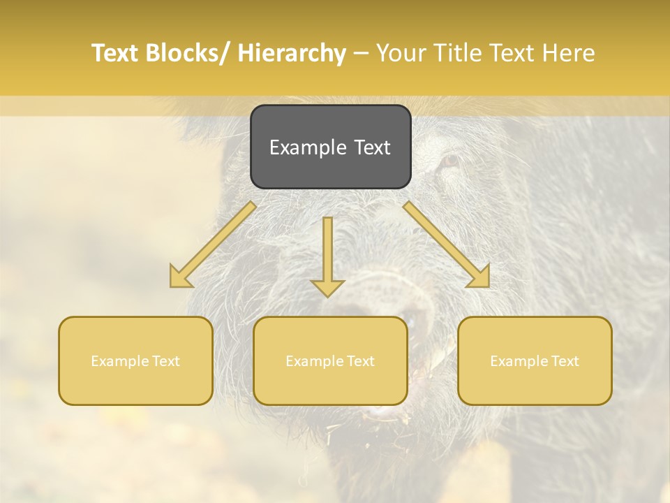Airplane Air Snow PowerPoint Template