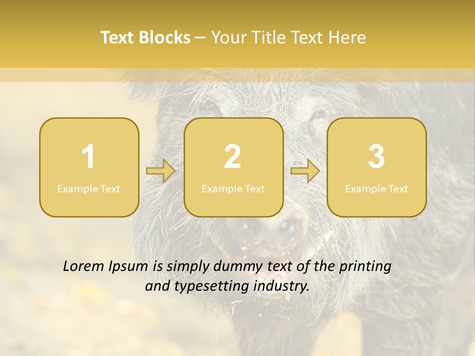 Airplane Air Snow PowerPoint Template