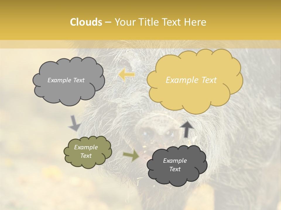 Airplane Air Snow PowerPoint Template