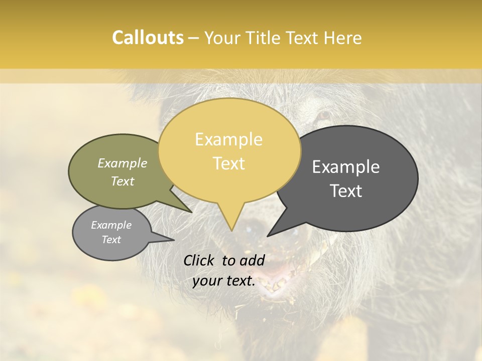 Airplane Air Snow PowerPoint Template