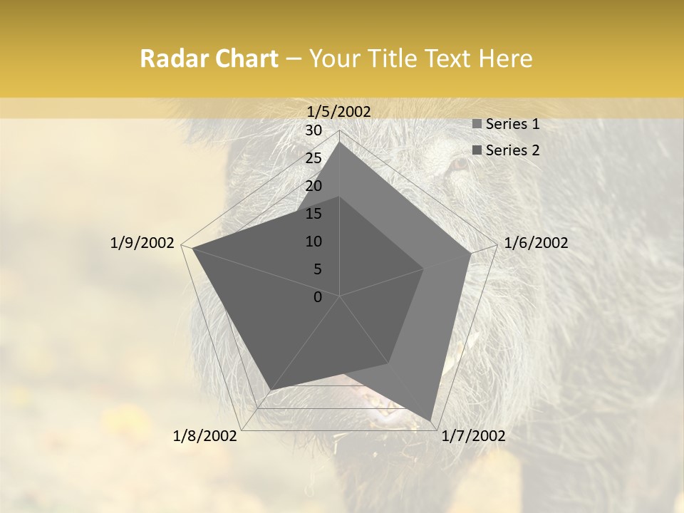 Airplane Air Snow PowerPoint Template