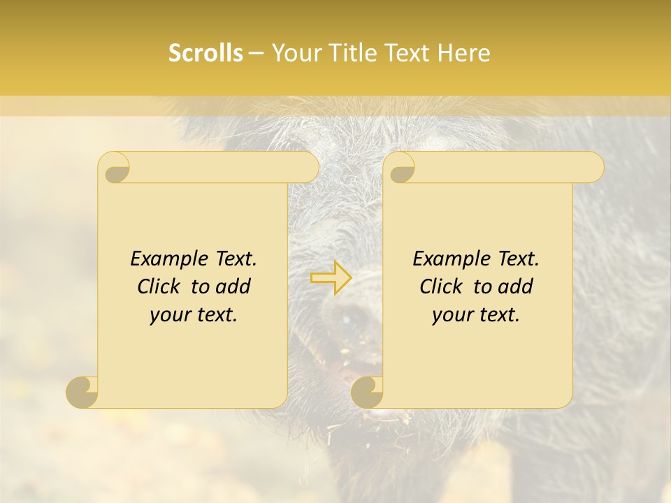 Airplane Air Snow PowerPoint Template