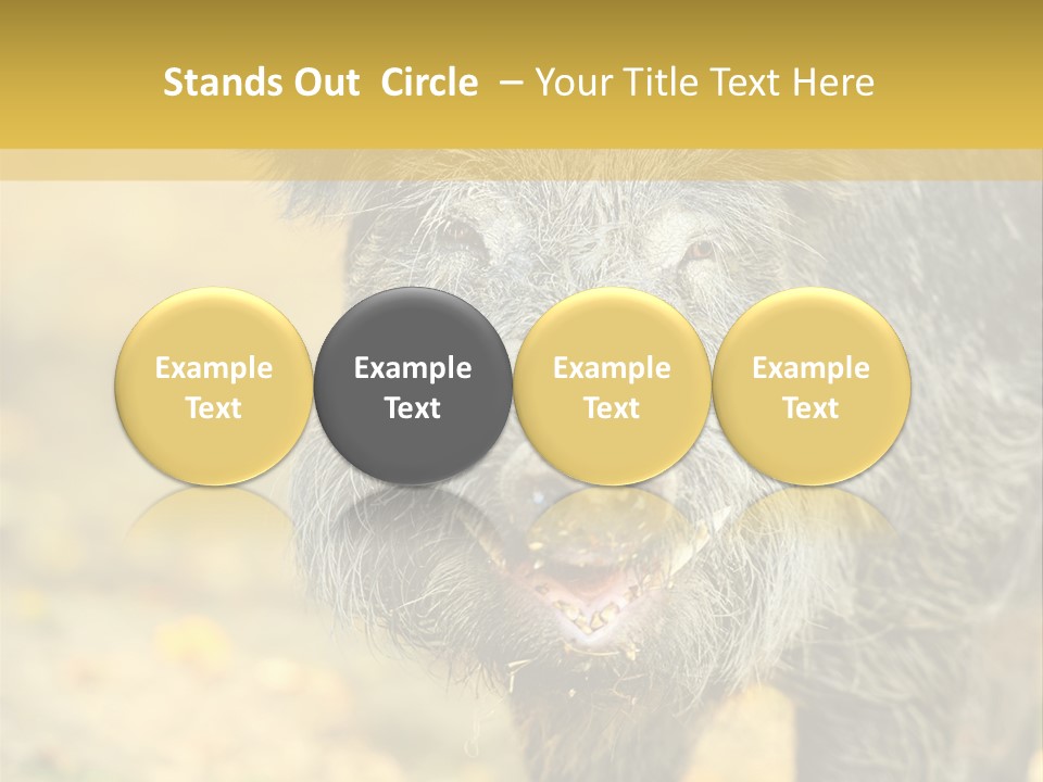 Airplane Air Snow PowerPoint Template