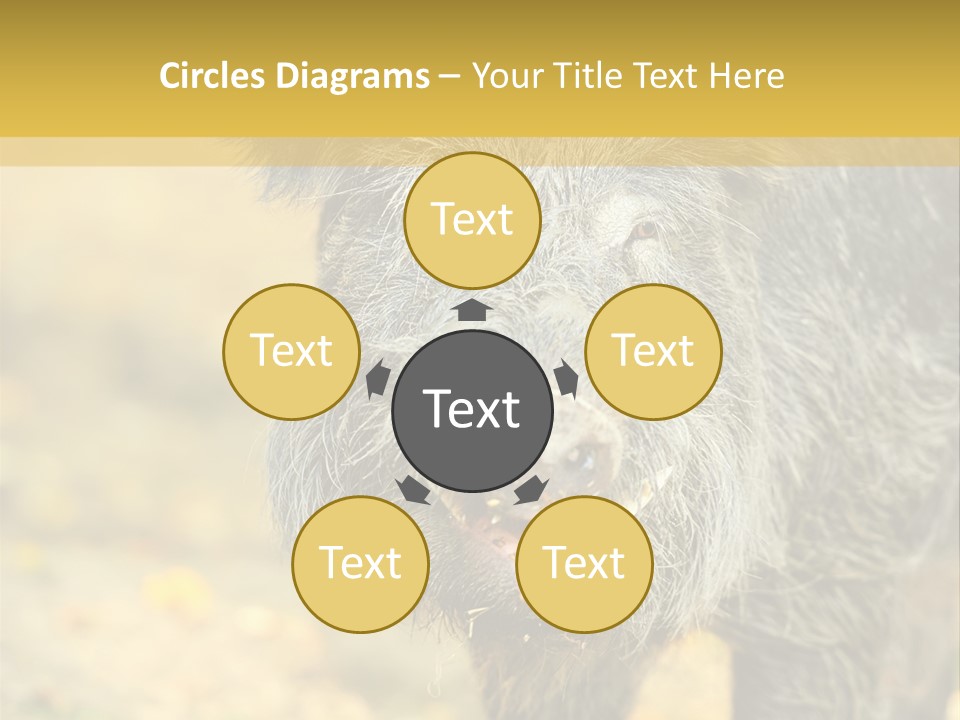 Airplane Air Snow PowerPoint Template