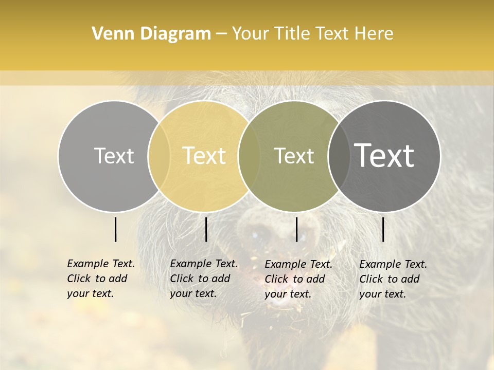 Airplane Air Snow PowerPoint Template