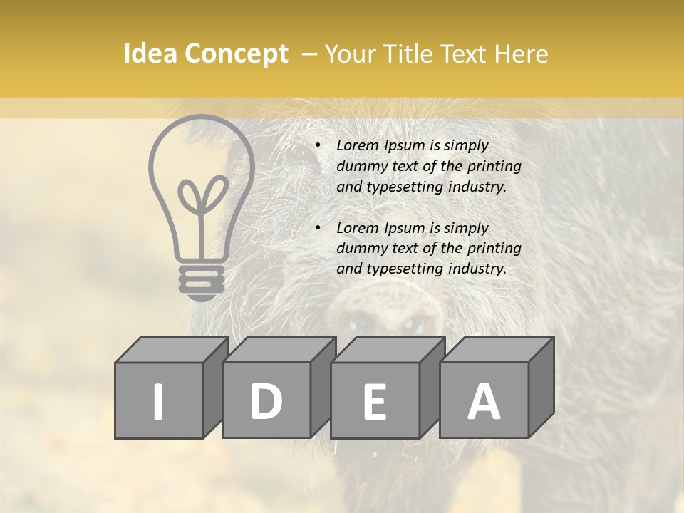 Airplane Air Snow PowerPoint Template