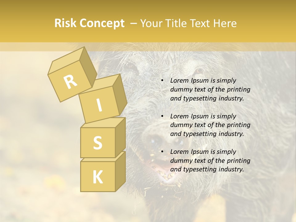 Airplane Air Snow PowerPoint Template