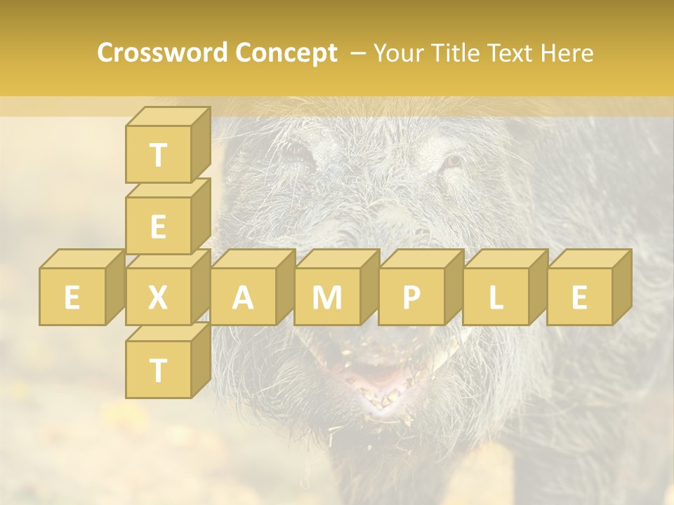 Airplane Air Snow PowerPoint Template