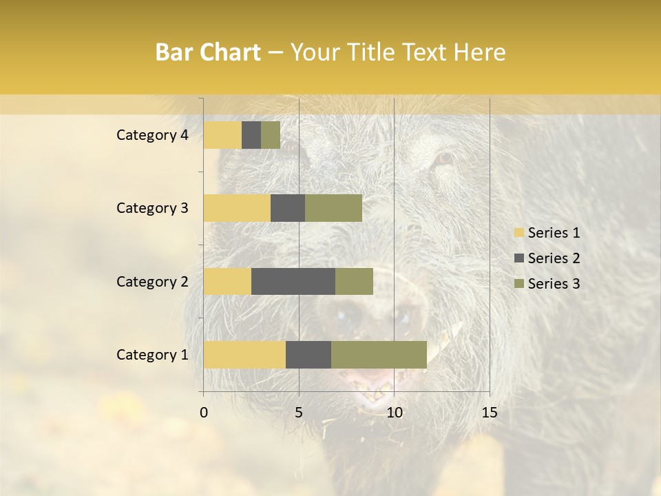 Airplane Air Snow PowerPoint Template