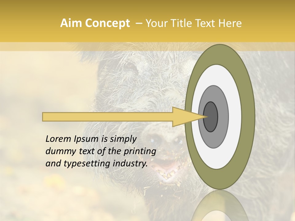 Airplane Air Snow PowerPoint Template