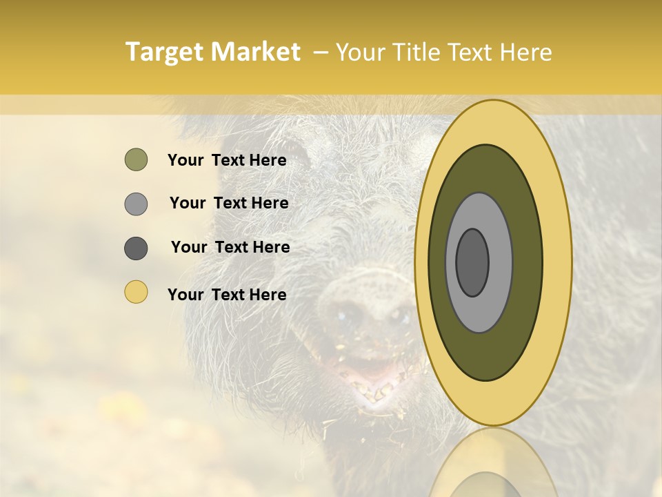 Airplane Air Snow PowerPoint Template