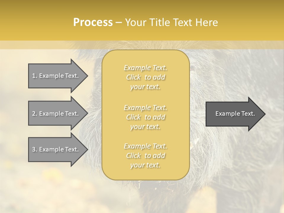 Airplane Air Snow PowerPoint Template