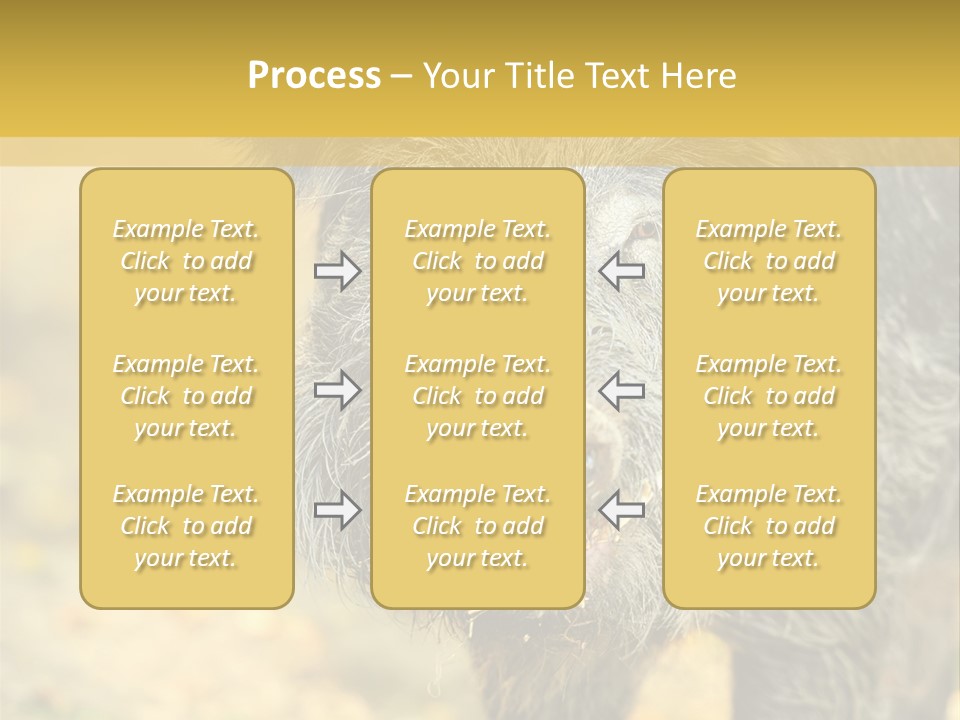 Airplane Air Snow PowerPoint Template