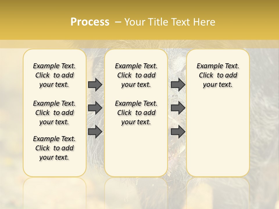 Airplane Air Snow PowerPoint Template