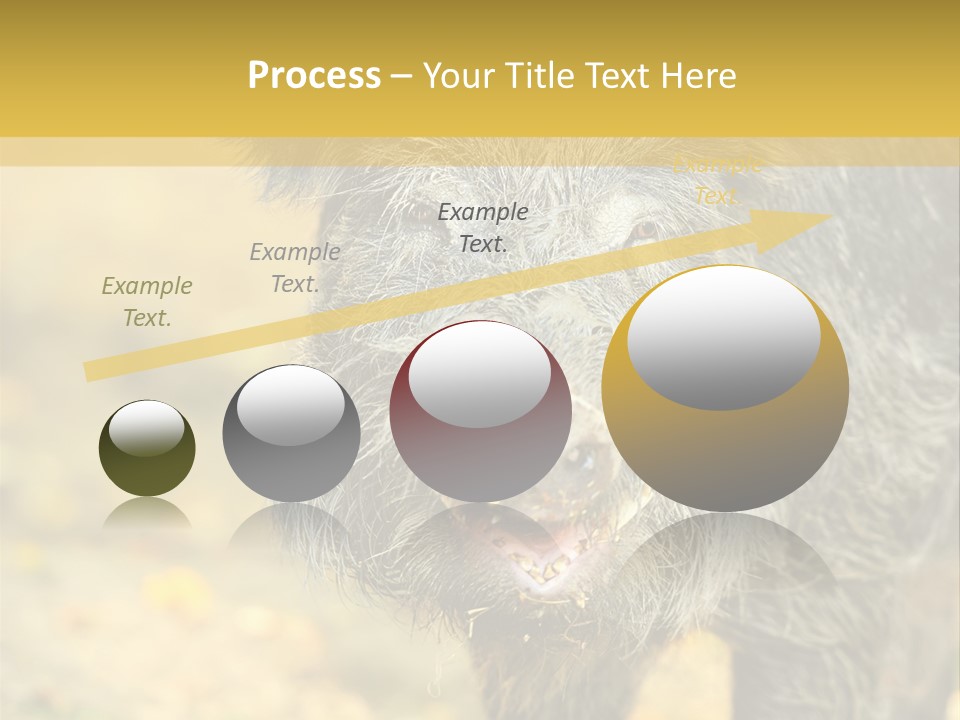 Airplane Air Snow PowerPoint Template