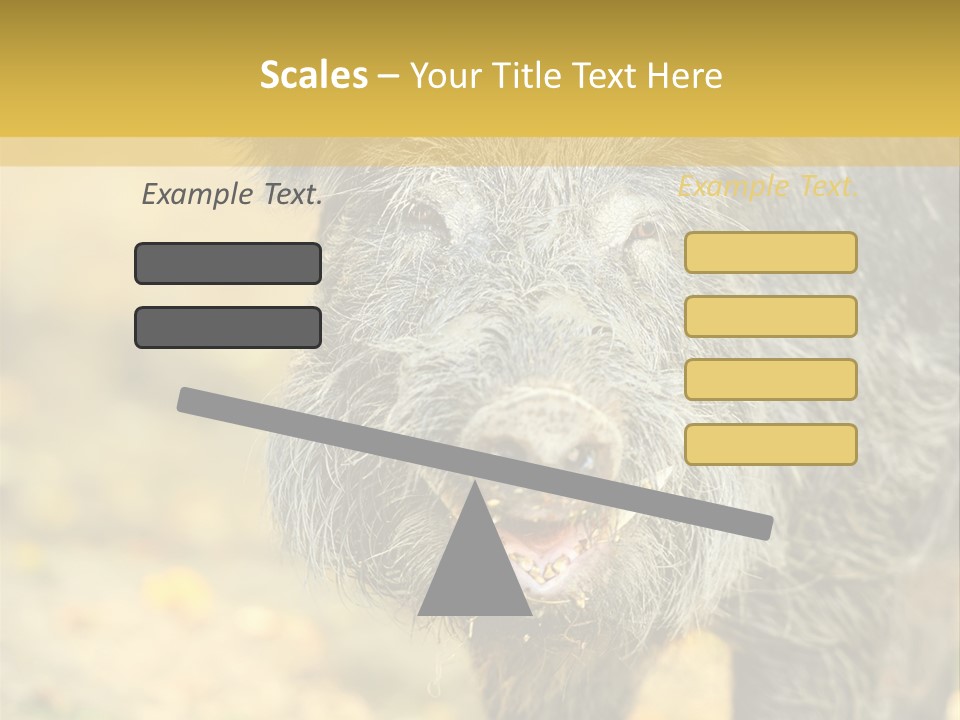 Airplane Air Snow PowerPoint Template