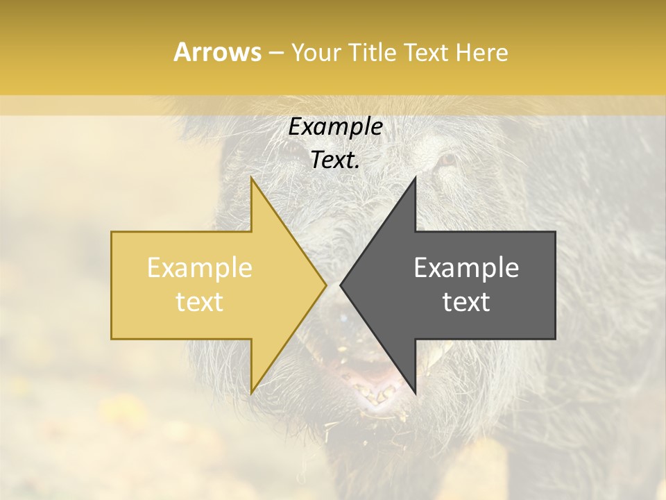 Airplane Air Snow PowerPoint Template
