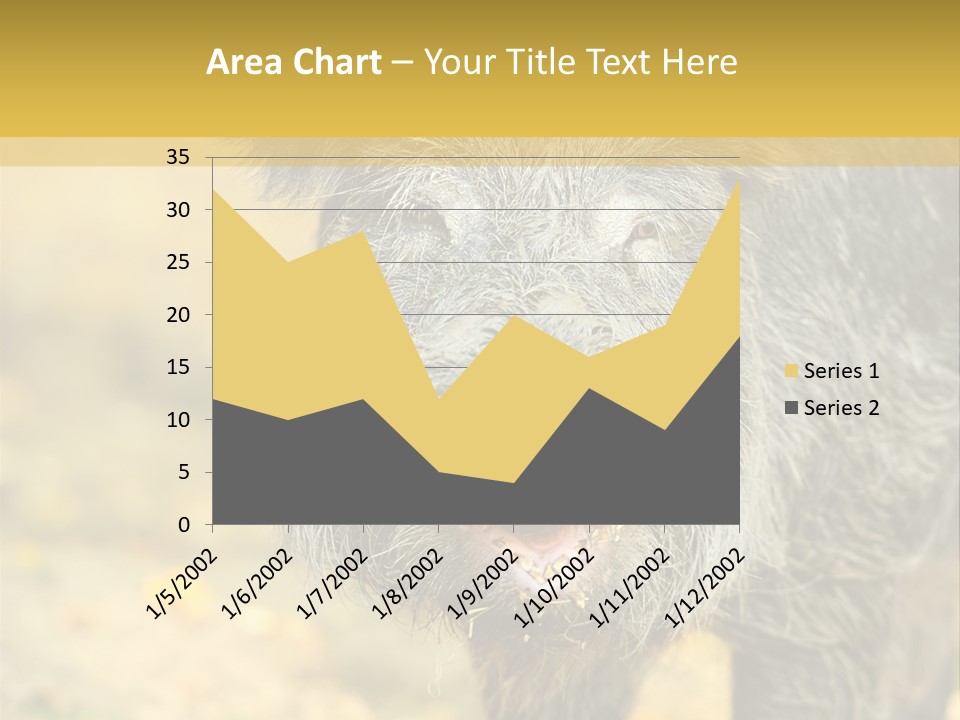 Airplane Air Snow PowerPoint Template