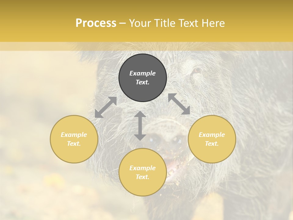 Airplane Air Snow PowerPoint Template