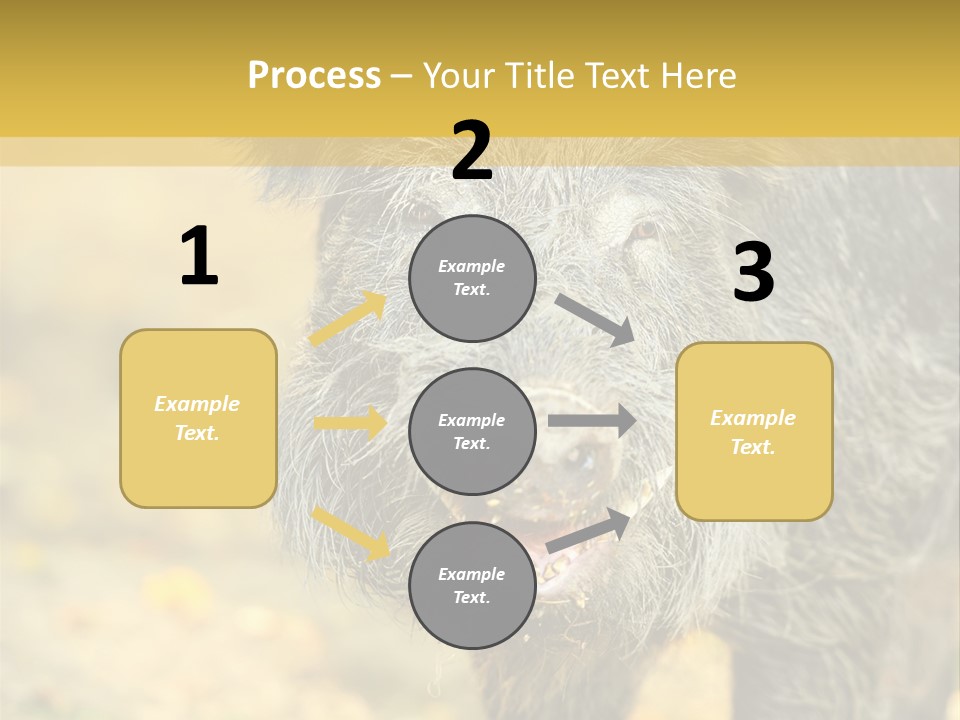 Airplane Air Snow PowerPoint Template