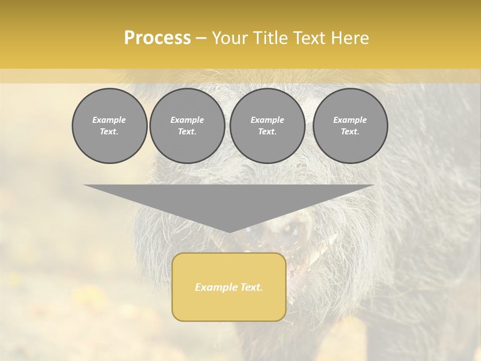 Airplane Air Snow PowerPoint Template