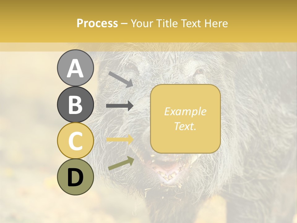 Airplane Air Snow PowerPoint Template