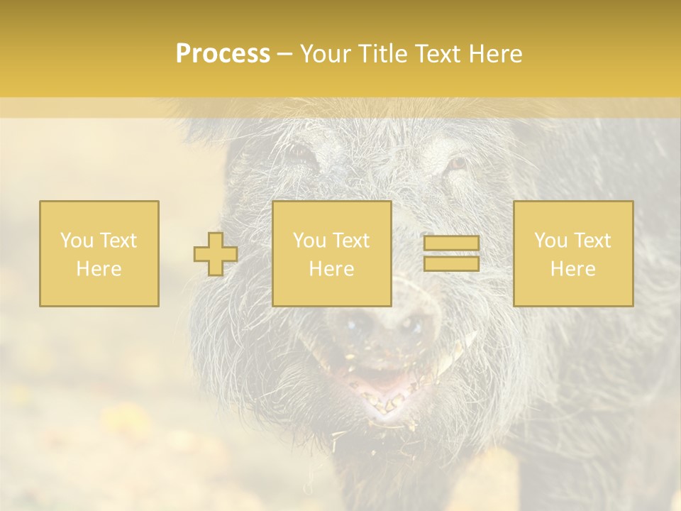 Airplane Air Snow PowerPoint Template