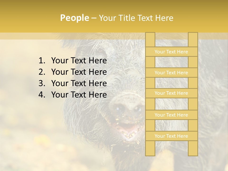 Airplane Air Snow PowerPoint Template