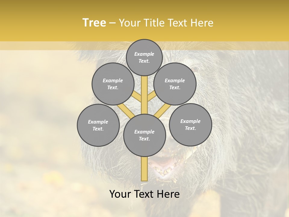 Airplane Air Snow PowerPoint Template