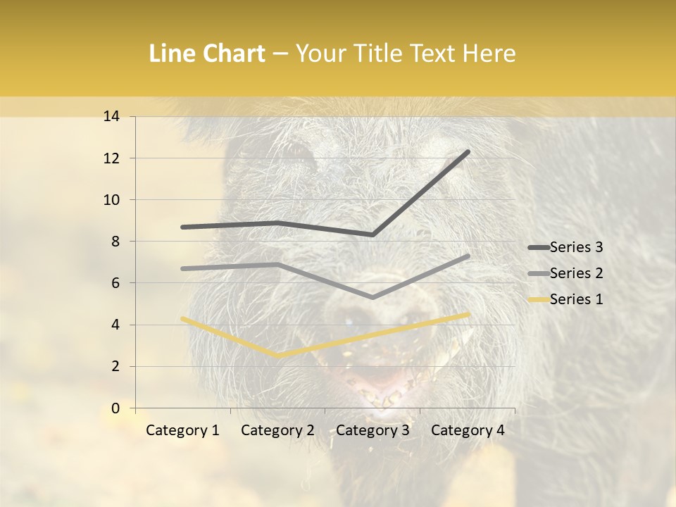 Airplane Air Snow PowerPoint Template