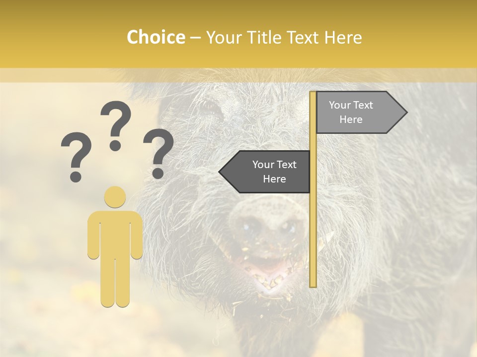 Airplane Air Snow PowerPoint Template