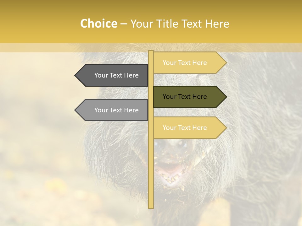 Airplane Air Snow PowerPoint Template