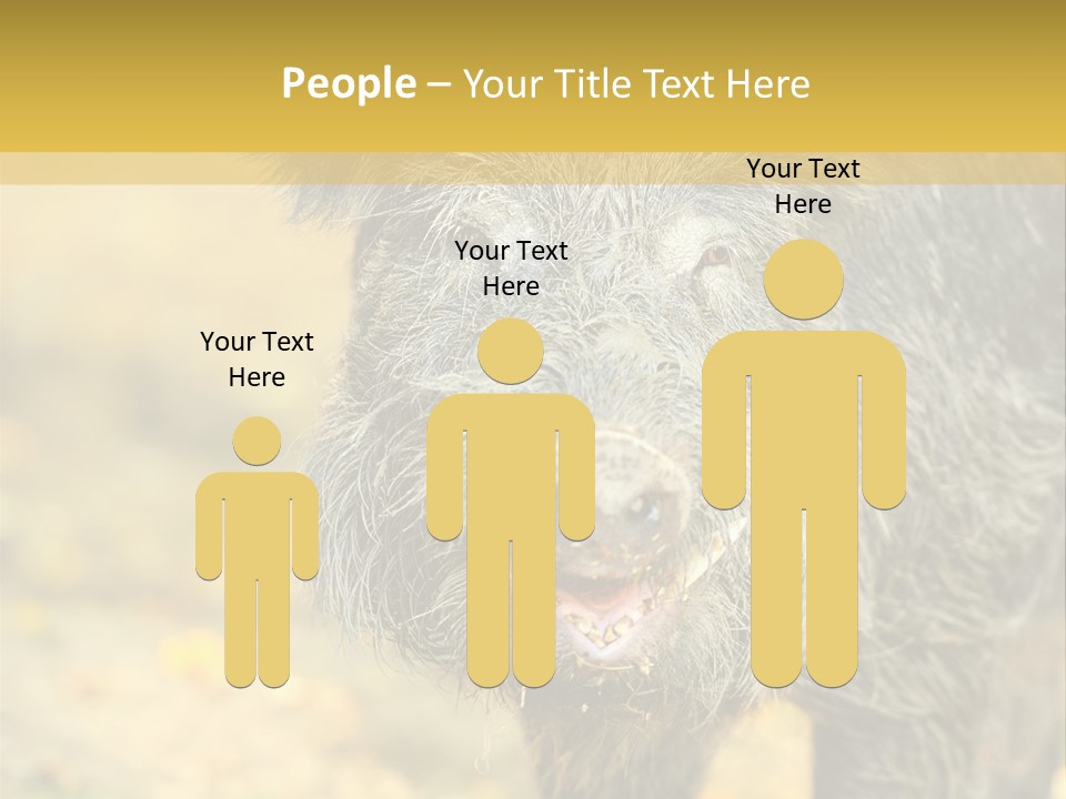 Airplane Air Snow PowerPoint Template