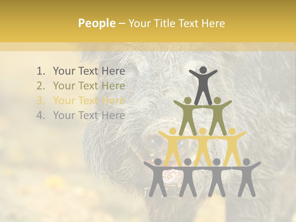 Airplane Air Snow PowerPoint Template