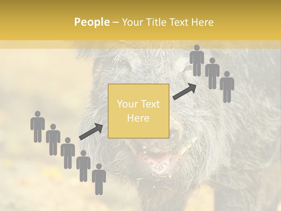 Airplane Air Snow PowerPoint Template