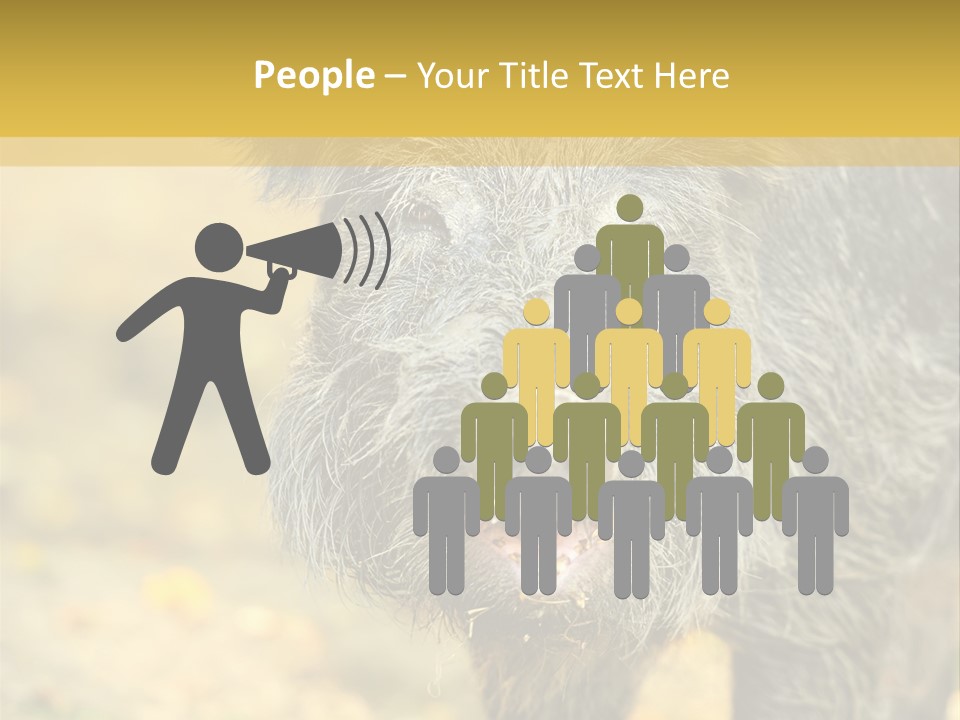 Airplane Air Snow PowerPoint Template