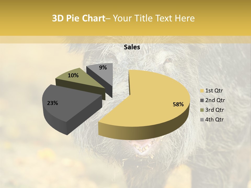 Airplane Air Snow PowerPoint Template