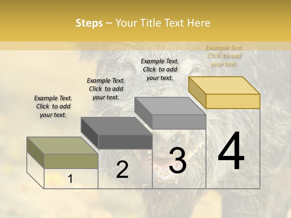 Airplane Air Snow PowerPoint Template