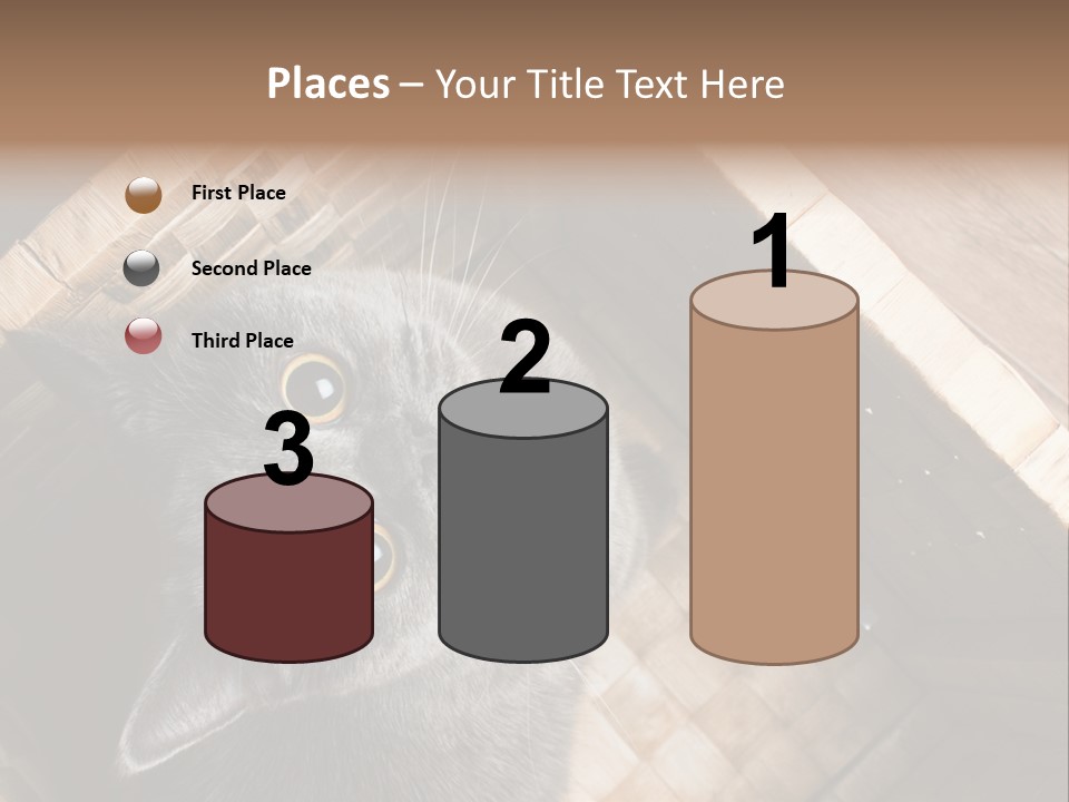 Catnip Ears On The Top Cat With Big Eyes PowerPoint Template