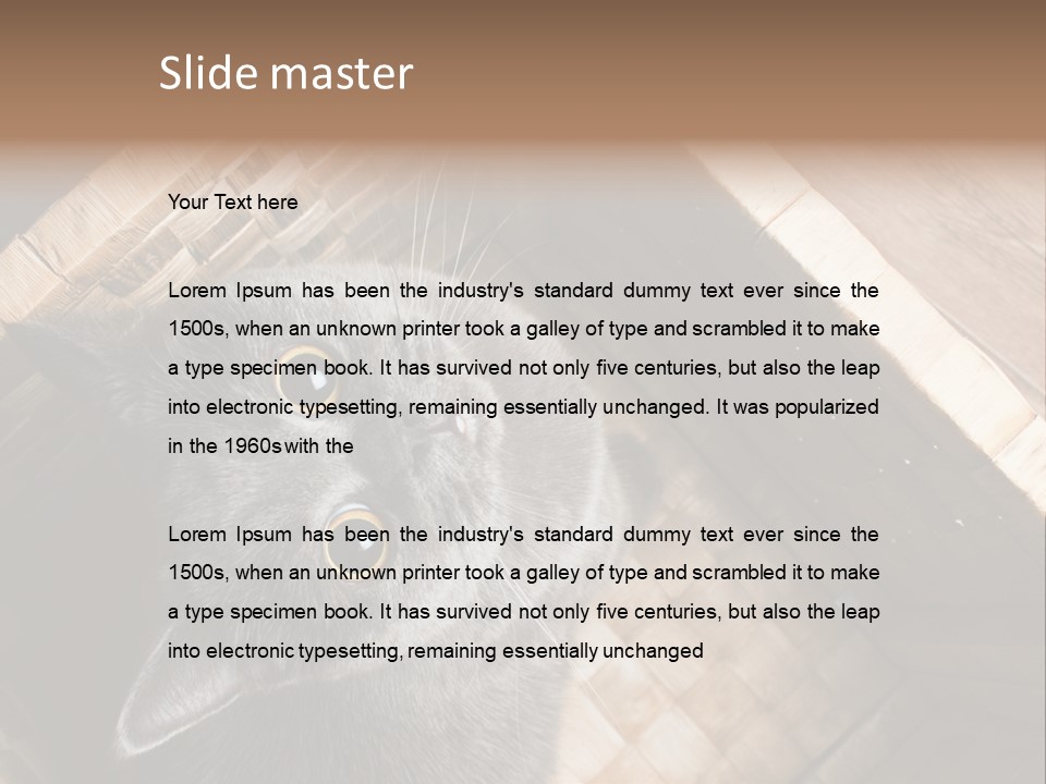 Catnip Ears On The Top Cat With Big Eyes PowerPoint Template