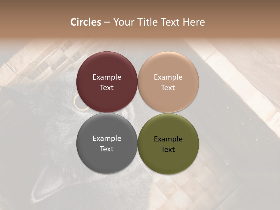 Catnip Ears On The Top Cat With Big Eyes PowerPoint Template