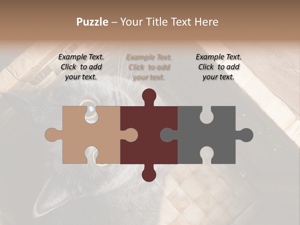 Catnip Ears On The Top Cat With Big Eyes PowerPoint Template