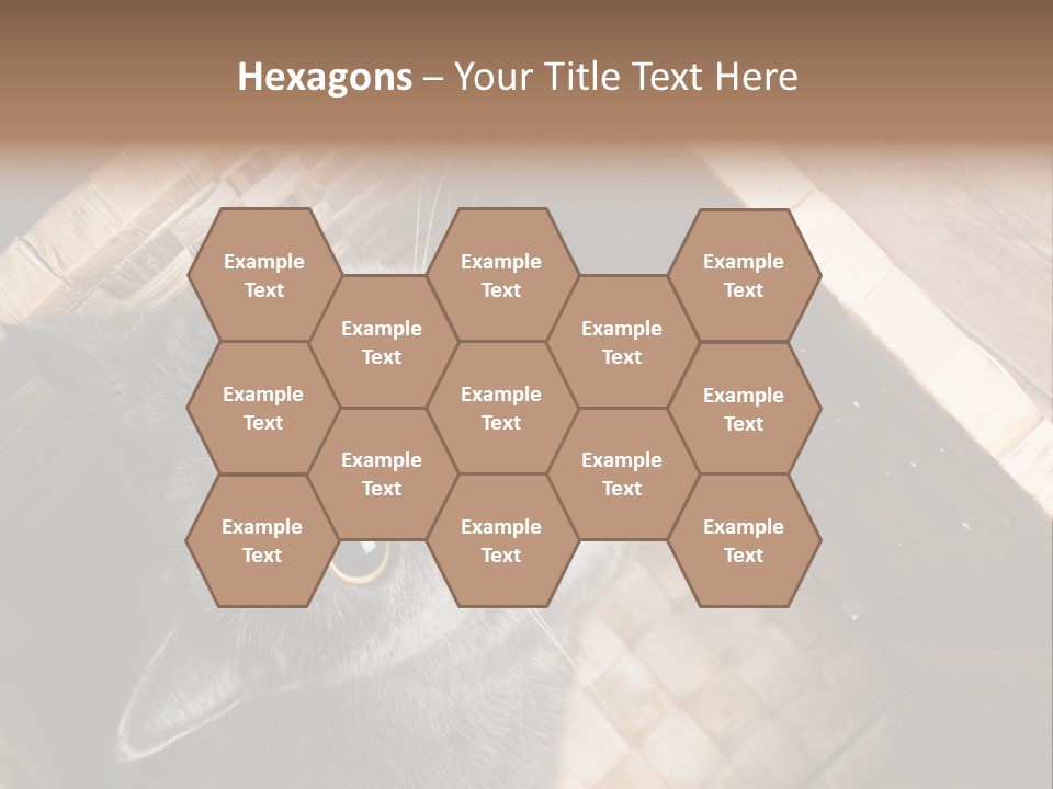 Catnip Ears On The Top Cat With Big Eyes PowerPoint Template