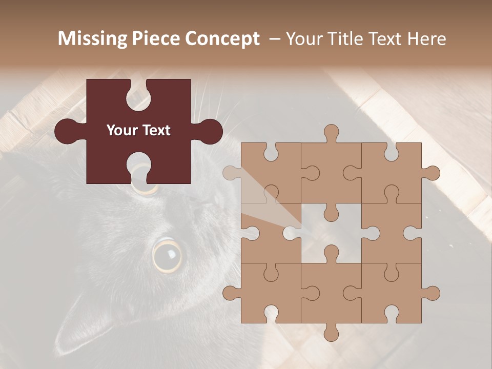 Catnip Ears On The Top Cat With Big Eyes PowerPoint Template