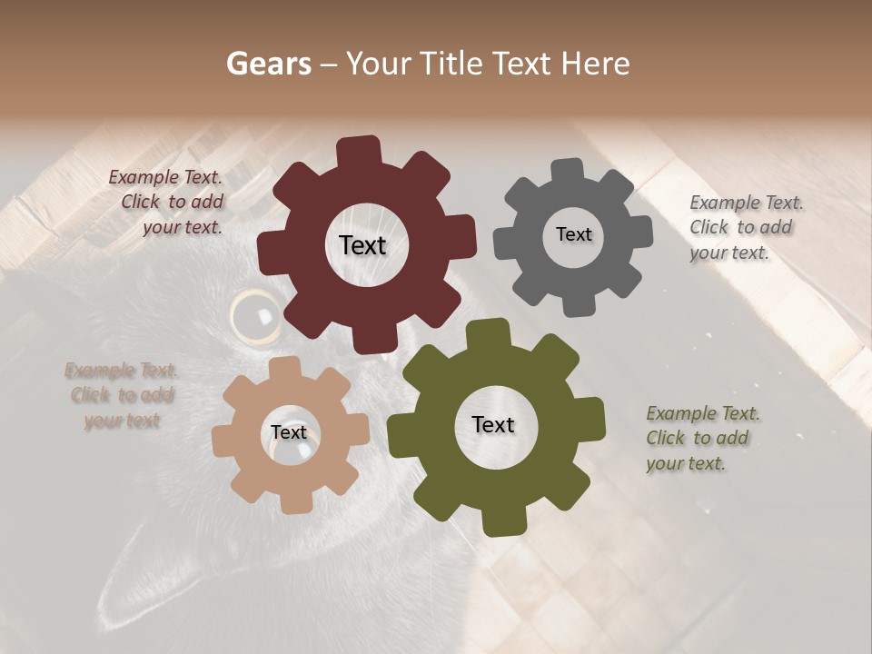 Catnip Ears On The Top Cat With Big Eyes PowerPoint Template